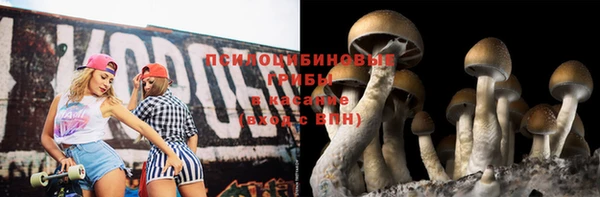 каннабис Арсеньев