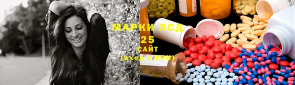индика Аркадак
