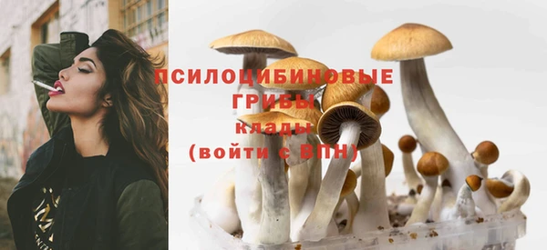 каннабис Арсеньев