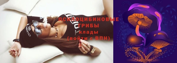 индика Аркадак