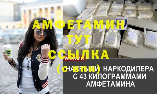 индика Аркадак