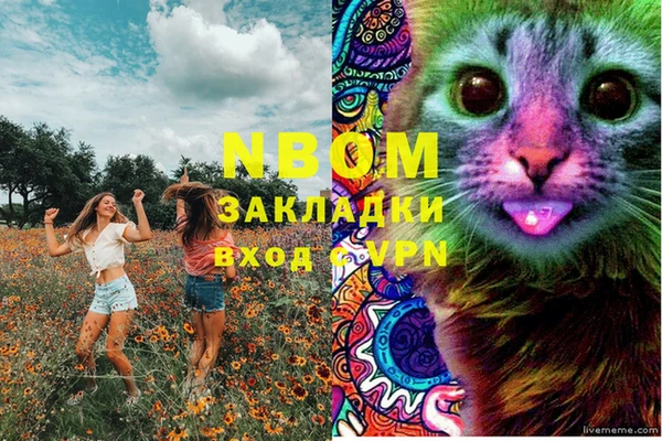 индика Аркадак