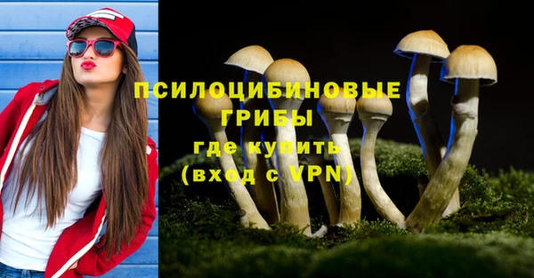 каннабис Арсеньев