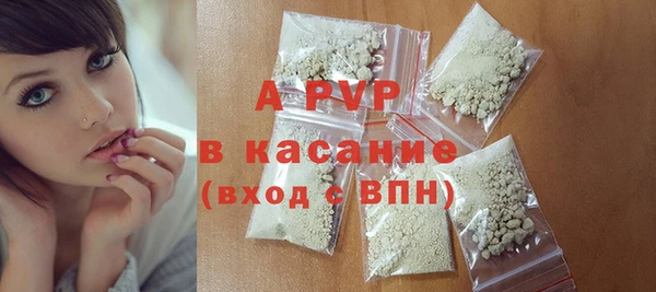 индика Аркадак