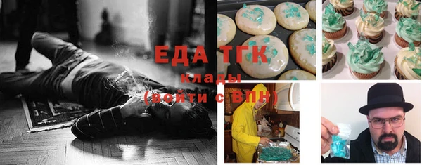 индика Аркадак