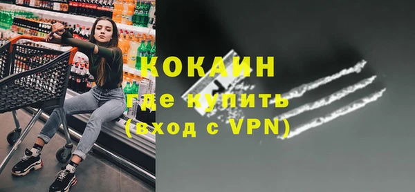 индика Аркадак