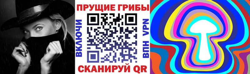 Купить закладки  Белокуриха  Псилоцибиновые грибы Psilocybine cubensis 